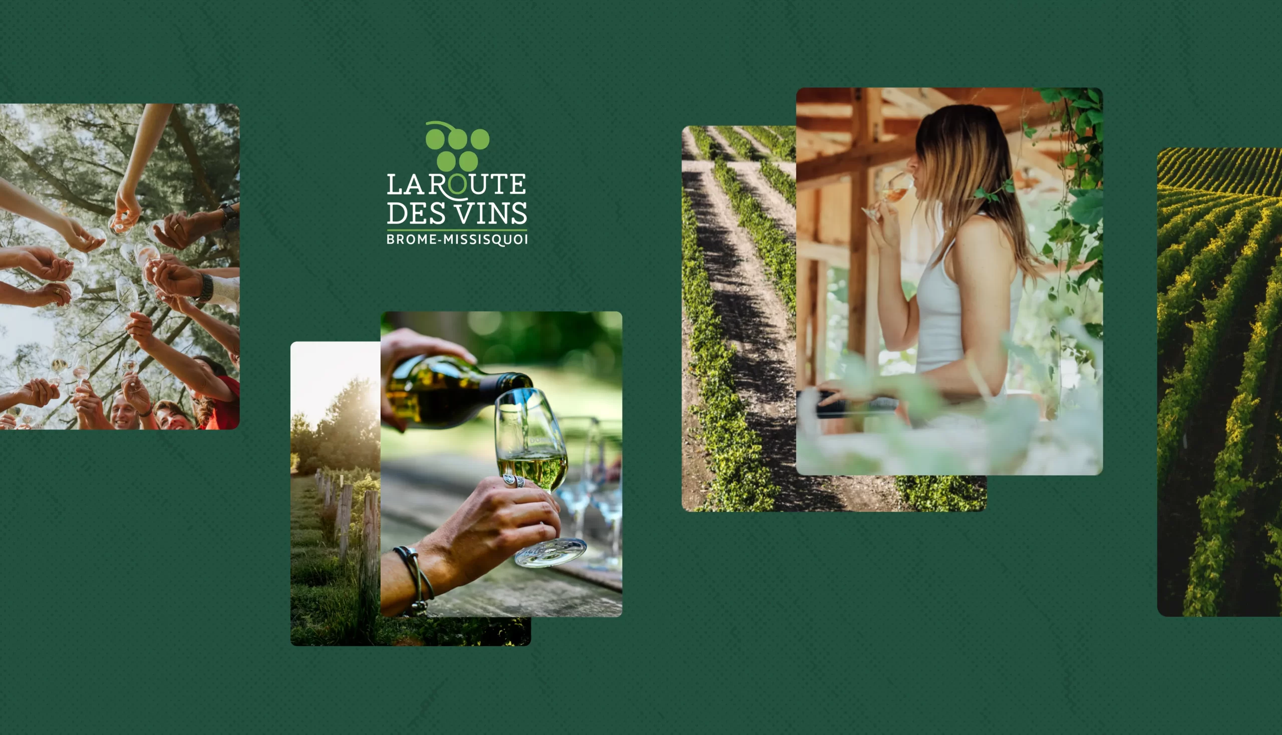 La route des vins