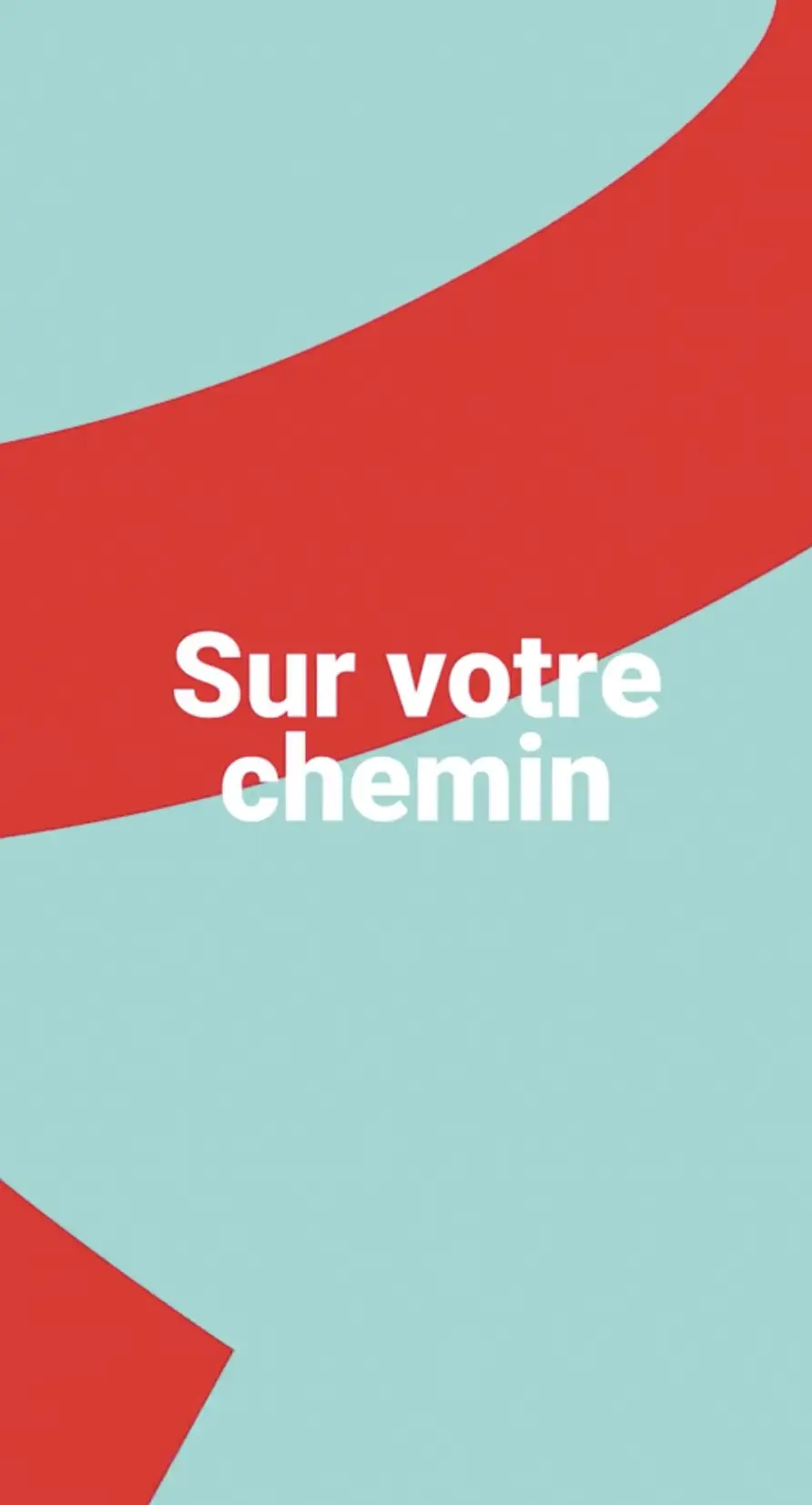 video image