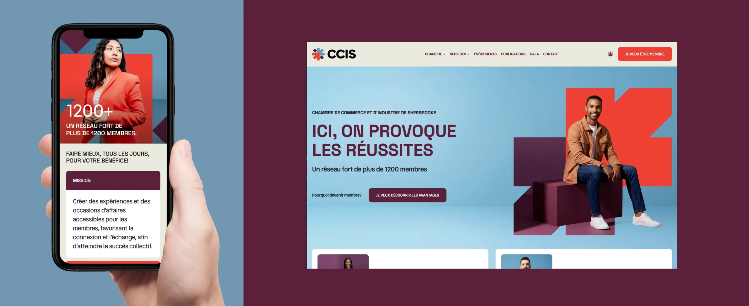 Site web CCIS scaled Site web CCIS scaled